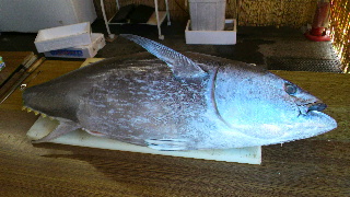 2013100609570000.jpg