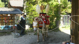 2013101312130002.jpg