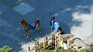2013101405240001.jpg
