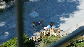 2013101405240002.jpg
