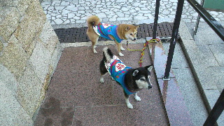 2013101405240004.jpg