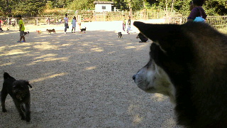2013101405530000.jpg
