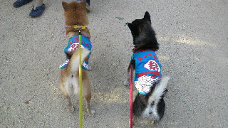 2013101405540000.jpg