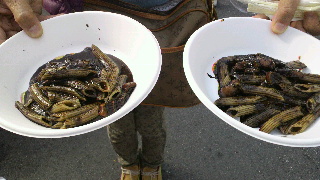 2013101921590000.jpg