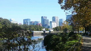 2013111620560000.jpg