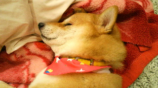 2013112423240000.jpg