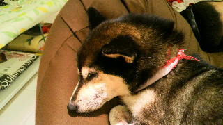 2013112423240001.jpg