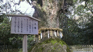 2013120718180001.jpg