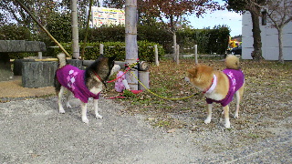 2013120822000000.jpg