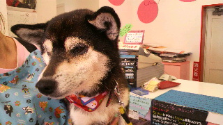 2013121413190000.jpg