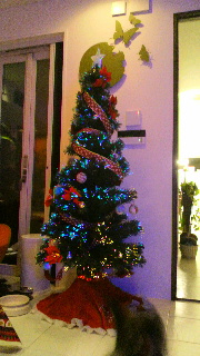 2013122419540001.jpg