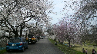 2014033008100000.jpg