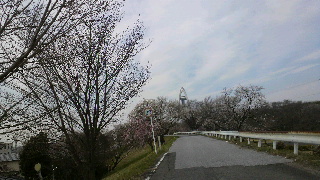 2014033008100001.jpg