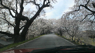 2014033008100002.jpg