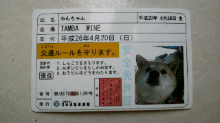 2014042017130000.jpg