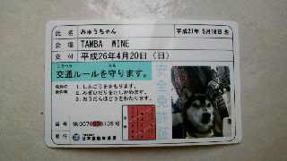 2014042017130001.jpg