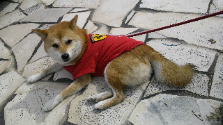 2014101309470000.jpg
