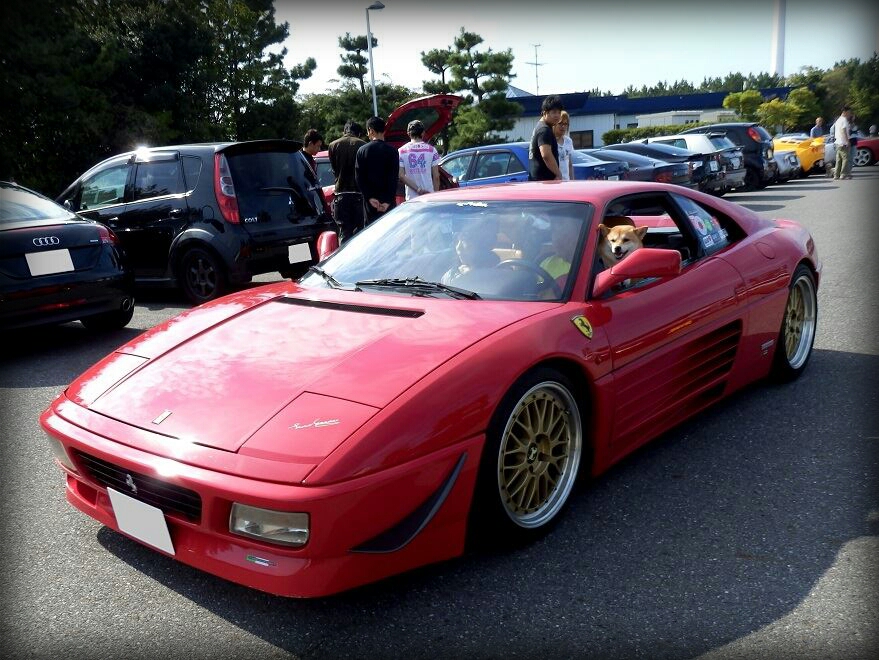 まいこサン９２１.jpg
