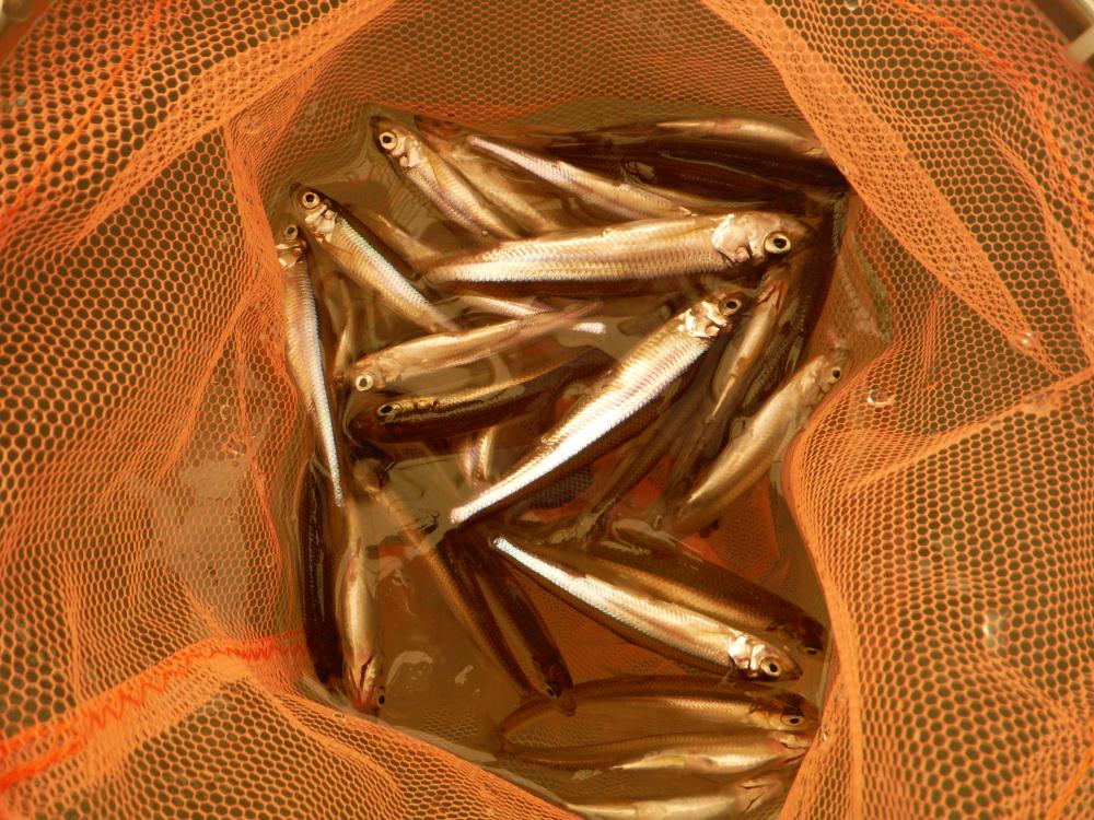 14hlr9.jpg