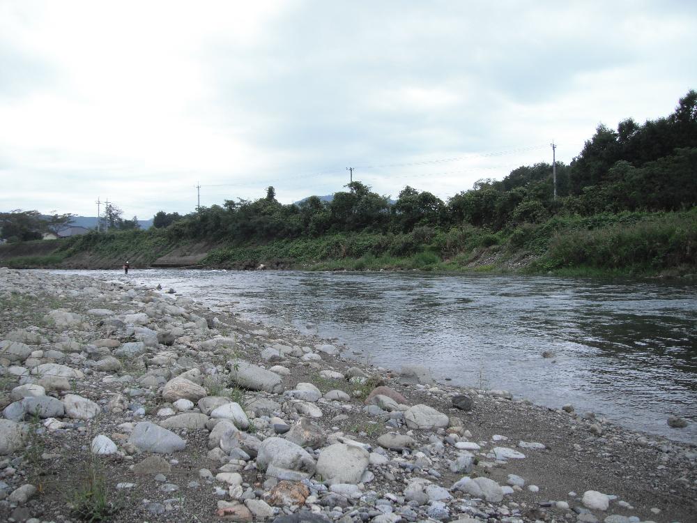 9ayu1.jpg
