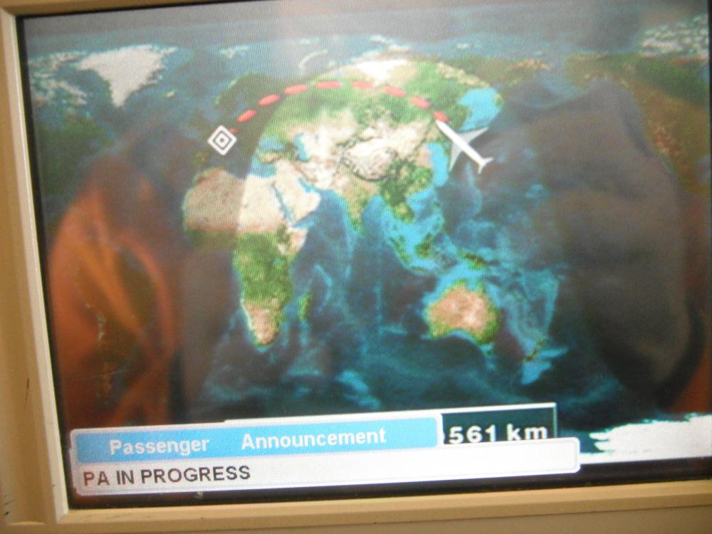 alitalia3.jpg