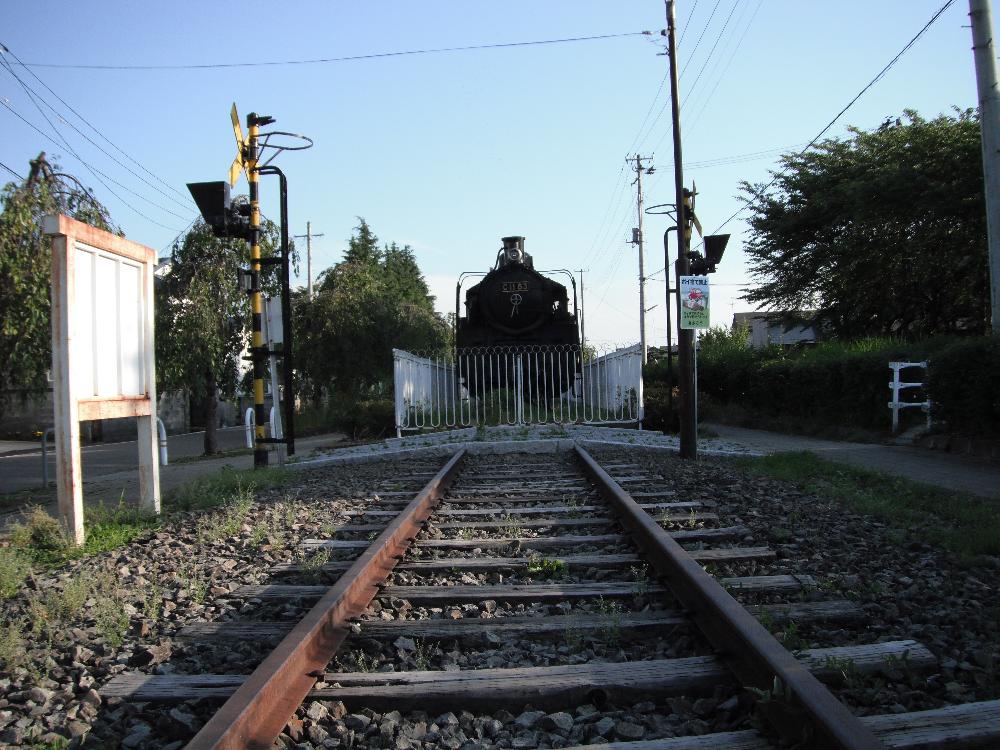 nicyusen20.jpg