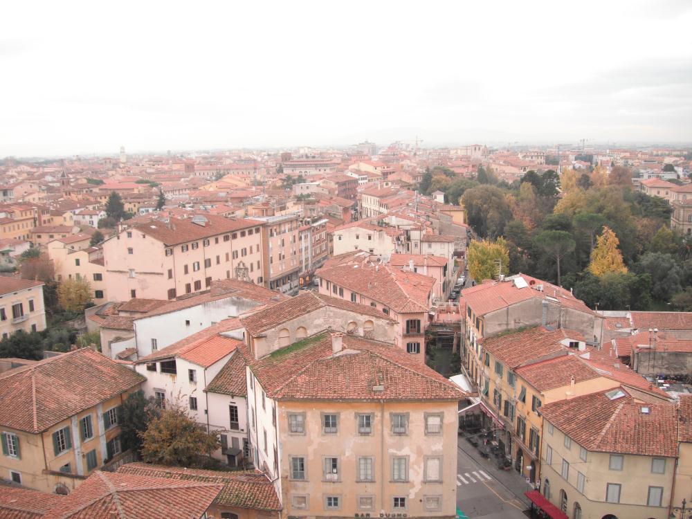 pisa8.jpg