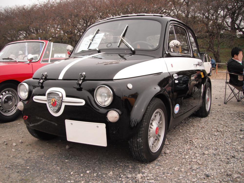 sccf25.jpg