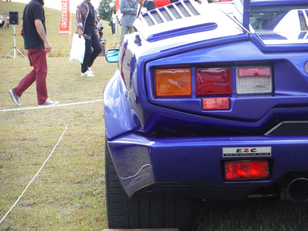 scm40.jpg