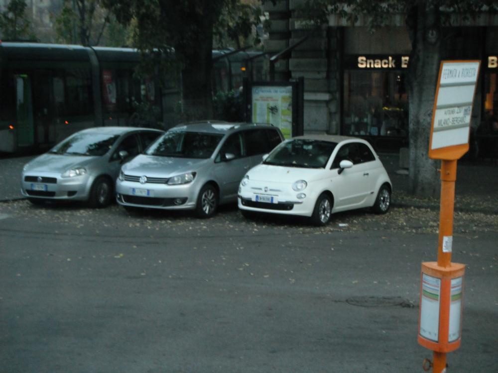 sforzesco7.jpg