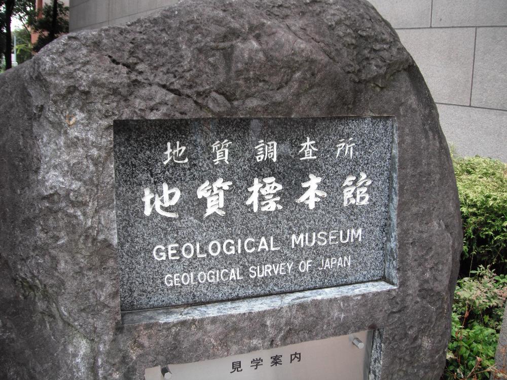 tukubahourouki8.jpg