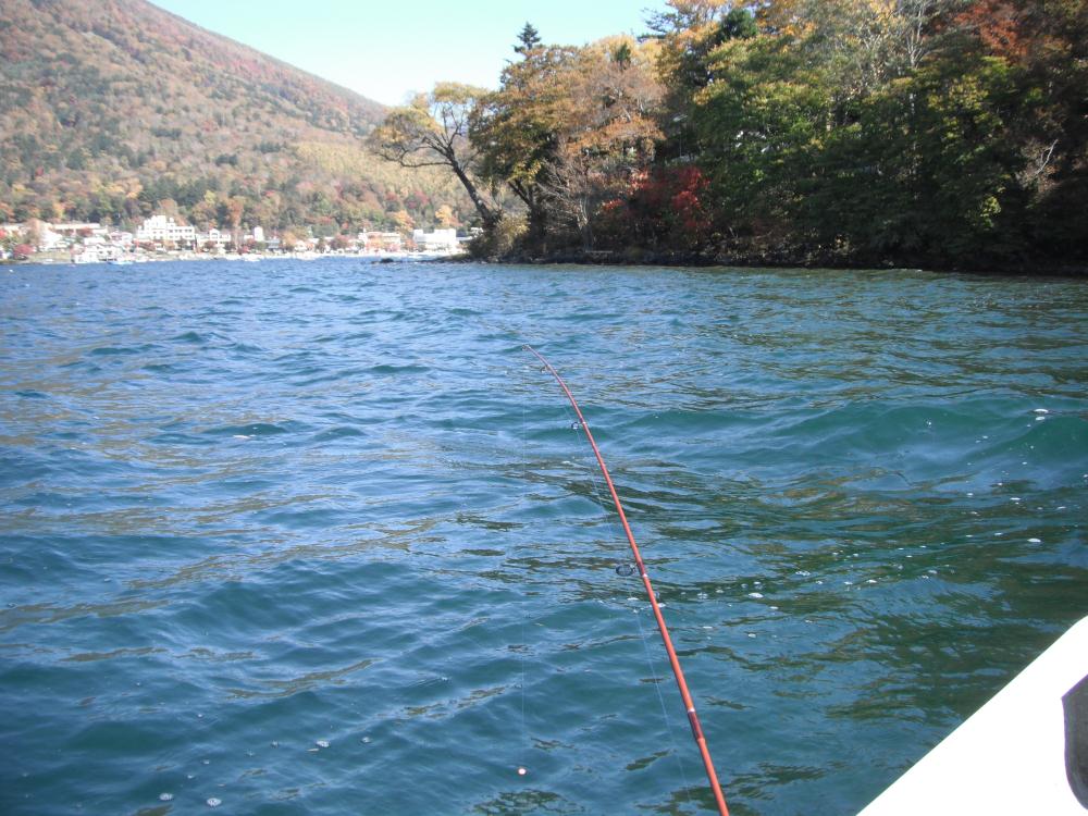 tyuuzenjiwaka6.jpg