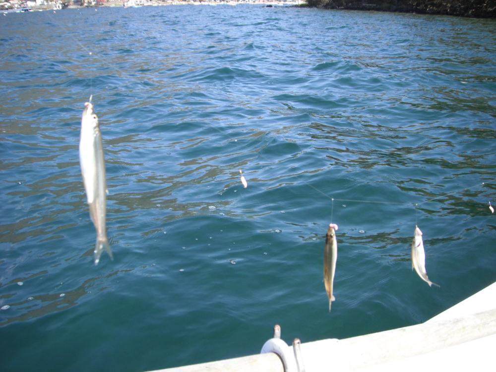tyuuzenjiwaka9.jpg