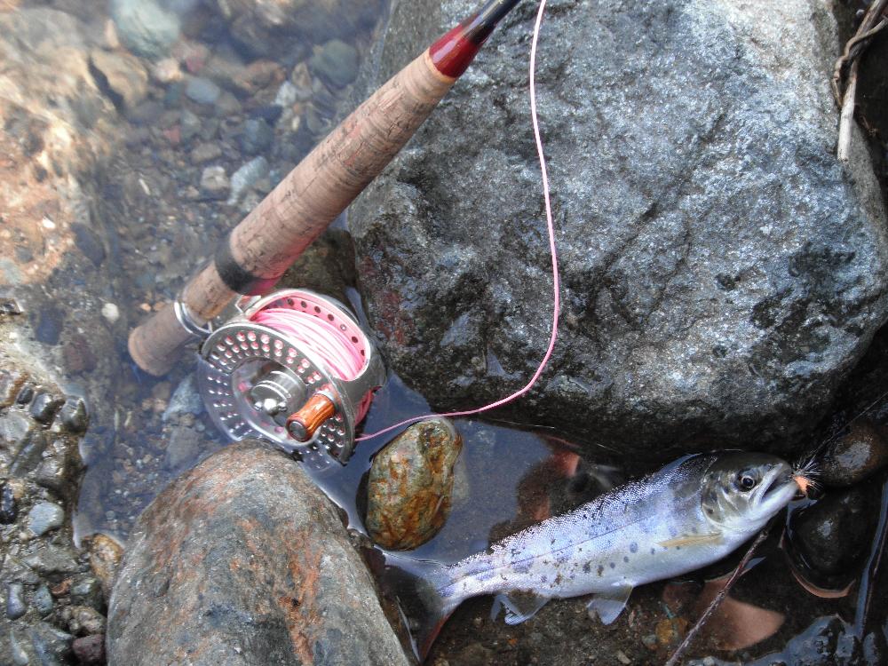 yamameflyfishing6.jpg