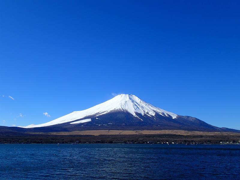 P1100014.jpg