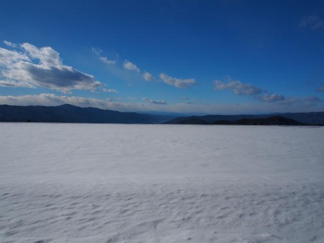 P2080006.jpg