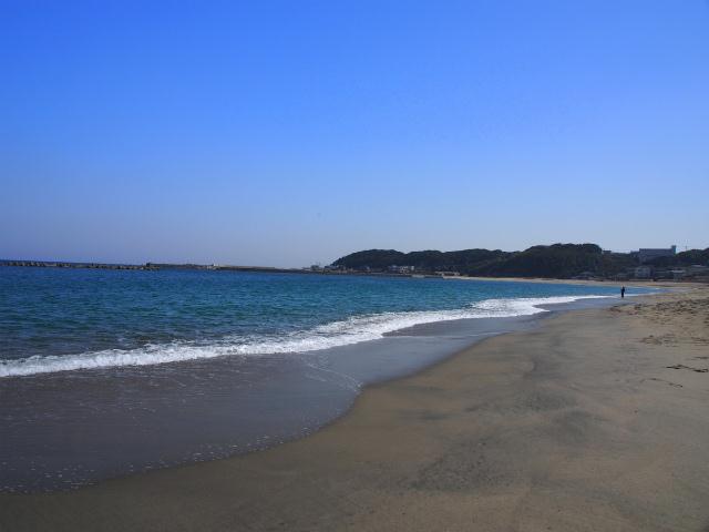 P3090281.jpg