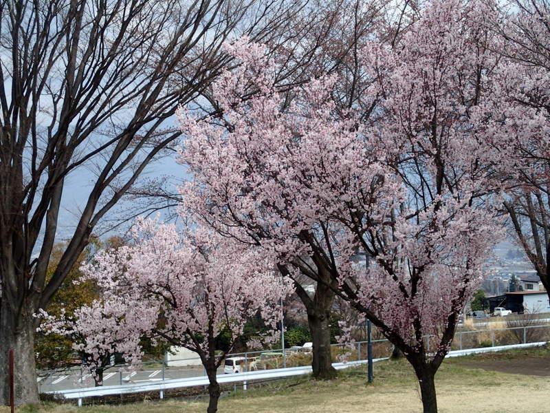P3290035.jpg