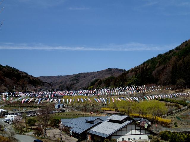 P4120049.jpg