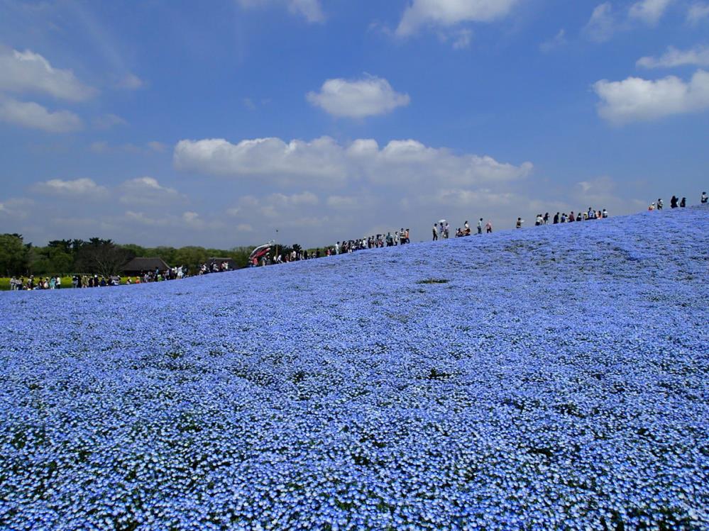 P4290004.JPG