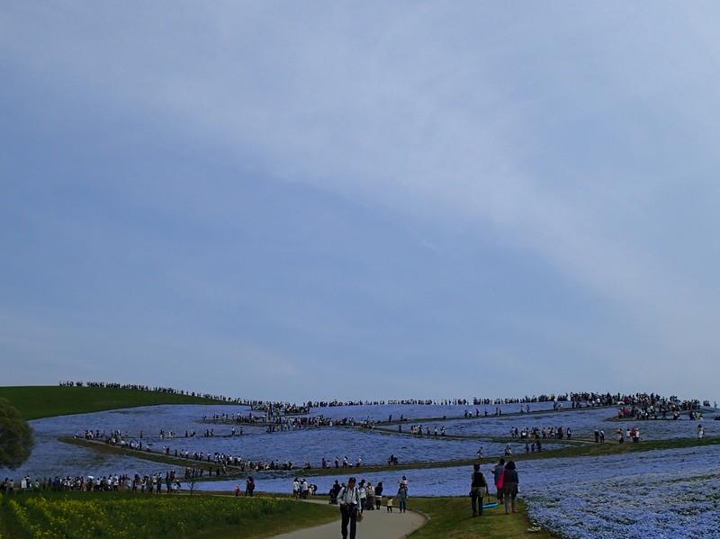 P4290028.JPG