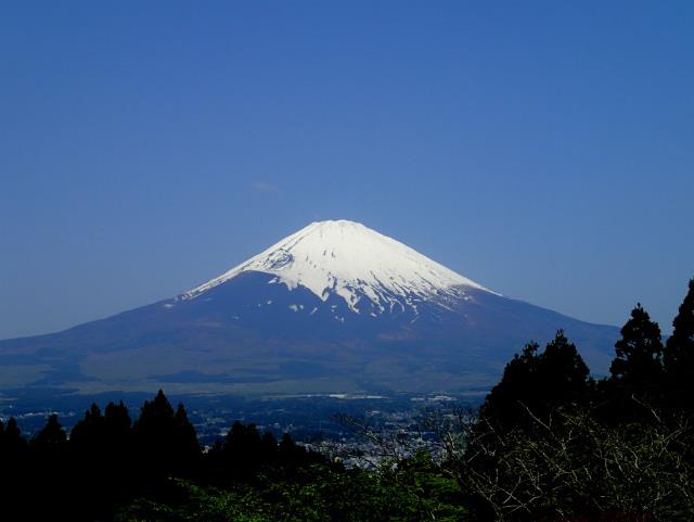 P5100006.jpg