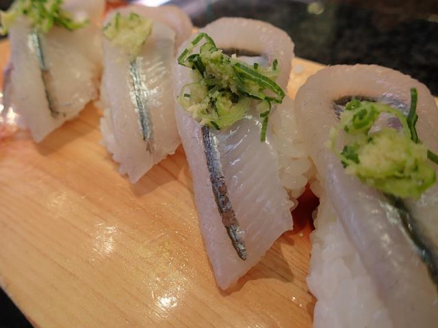 P5100010.jpg