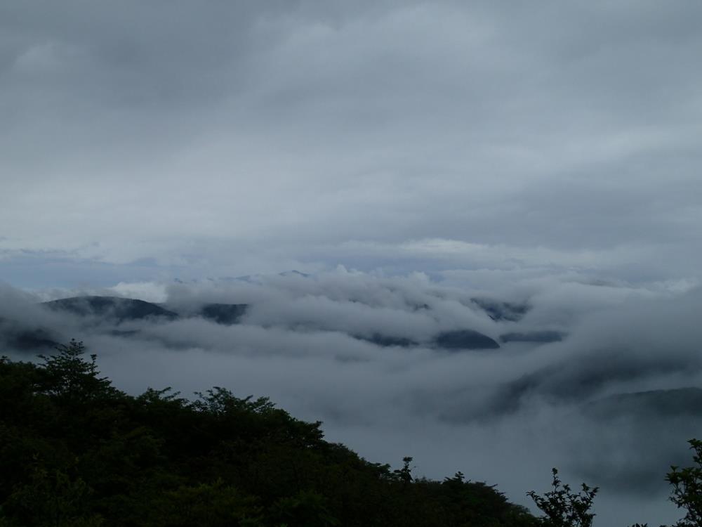 P5160072.JPG