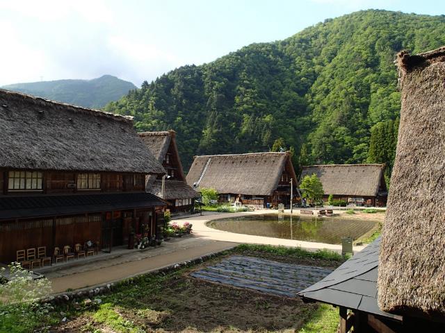 P5230085.jpg
