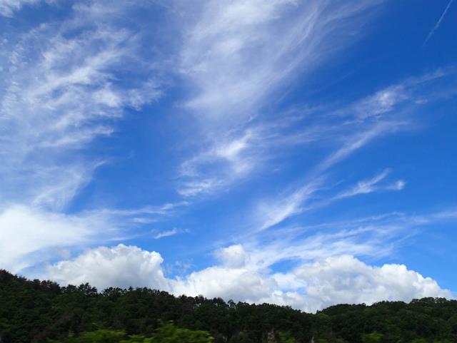 P6290051.jpg