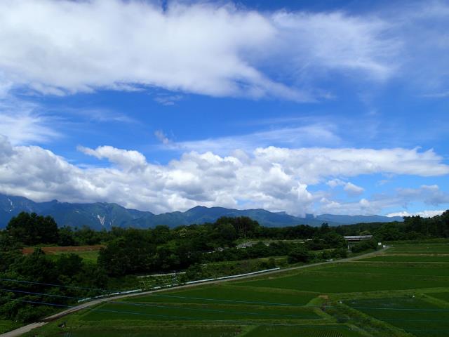 P6290059.jpg