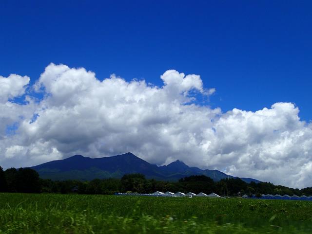 P6290063.jpg