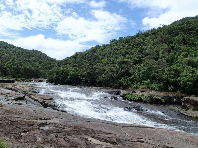 P7200264.jpg