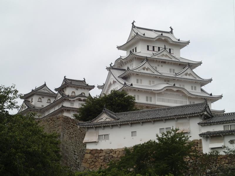 P8010551.jpg